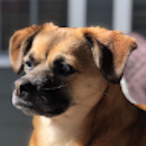 Meet your Posher, Janice